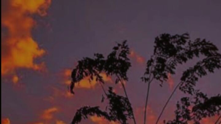 Location -Khalid