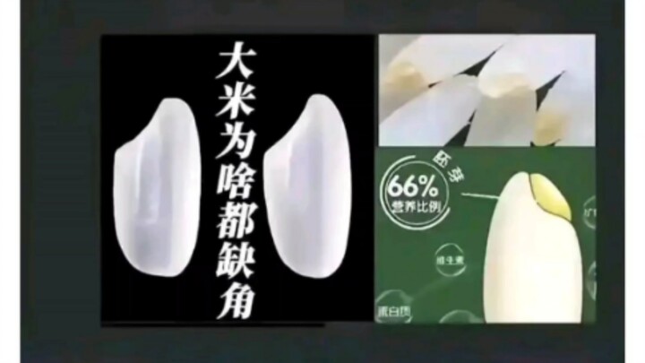 啊卧槽资本怎么这么坏😭