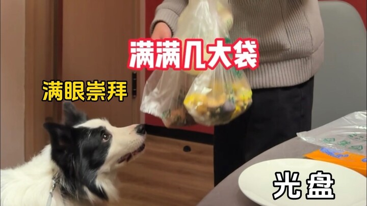Essential skills for dog owners during Chinese New Year feasts