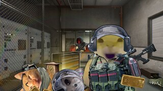 The best Sha player in the dam!