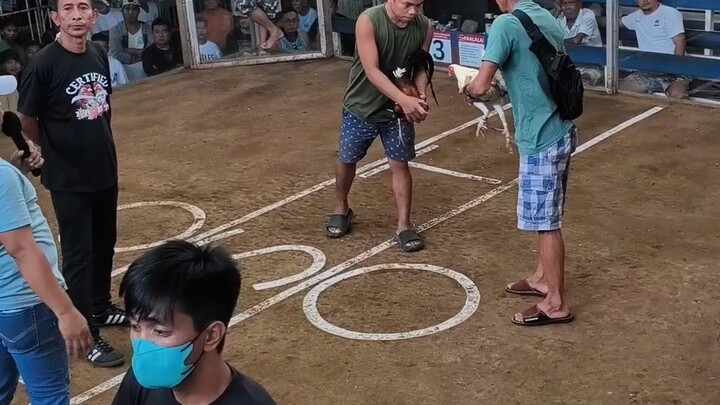 2 hits Ulutan Taytay Arena (W) leeg ang tama