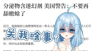 [Xiyue] Jingbao, please quit now