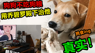 狗狗不吃两块钱一斤的狗粮，吊人就逼它看乔碧罗殿下，不料狗狗却翻车了，真实!