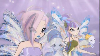 The Blue Sapphire || Camelia - Boulevard Of Broken Dreams