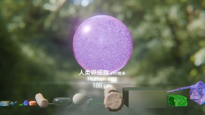 2025宇宙万物大小对比(第4章)