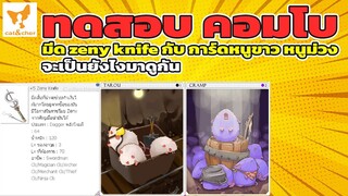 ragnarok classic ทดสอบ คอมโบ มีด zeny knife กับ การหนูขาว หนูม่วง จะเกิดอะไรขึ้นมาดู