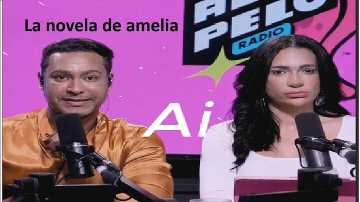 la novela de amelia