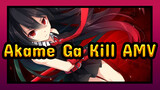 Akame Ga Kill AMV / Epic