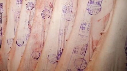 Thâm Quyến: Dân thành phố đúng là biết cách chơi!