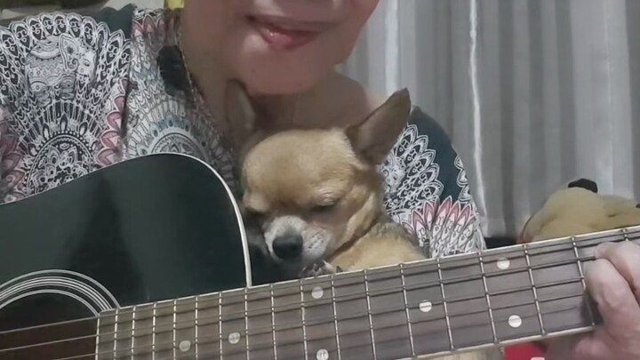 Nenek Lembut dan Boneka yang Tidak Terburu-buru