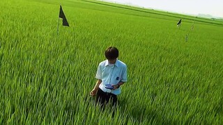 "The Ultimate Film Aesthetics: Green"