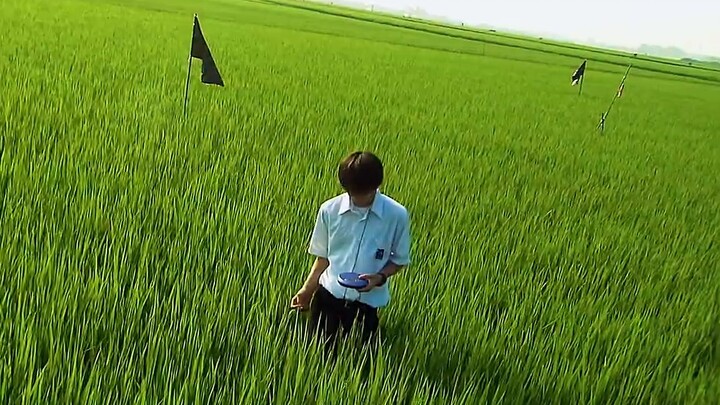 "สุนทรียศาสตร์ภาพยนตร์ขั้นสูงสุด: สีเขียว"