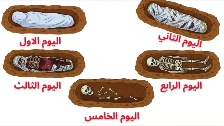 اليوم  الثاني