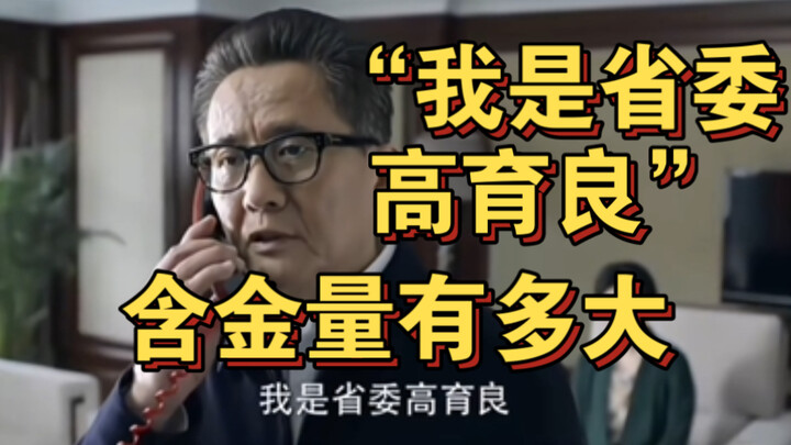 In the Name of the People | How much weight does “I am Gao Yuliang, a member of the Provincial Party