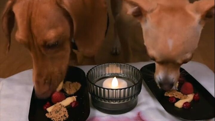 Coba lihat menu restoran steak anjing Samsung Wang Qilin—santapan yang begitu mewah dan lezat!