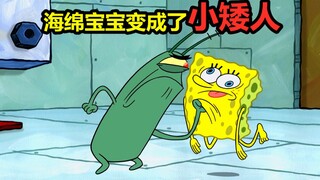 海绵宝宝由于脱水严重，变成了小矮人，据说还没有痞老板高大呢！