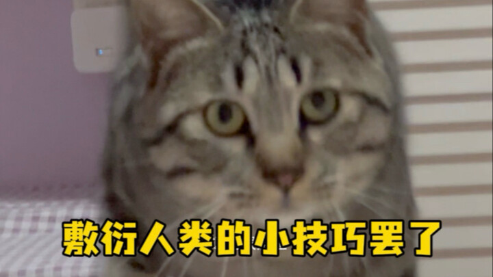 Đâu phải thế đâu, toàn là mấy chiêu trò qua loa dành cho con người thôi.