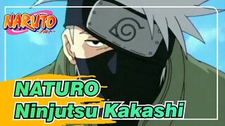 NATURO|Ninjutsu dari Koleksi Kakashi pada Latihan Kelas 7