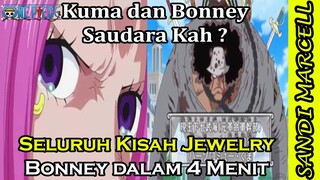 Seluruh Cerita Tentang Jewelry Bonney Apa Hubungannya Dengan Kuma | 2020