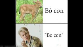 MEME TƯƠI, ẢNH CHẾ CỰC HÀI HƯỚC  #4