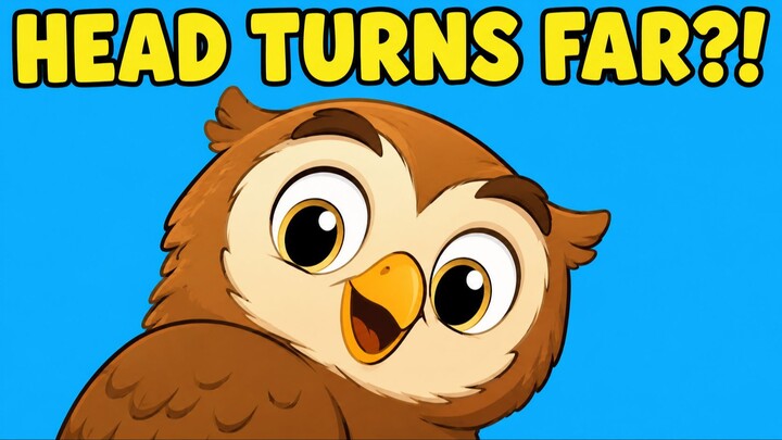 Meet Ollie the Owl! 🦉 Fun Night Bird Facts 🌙✨