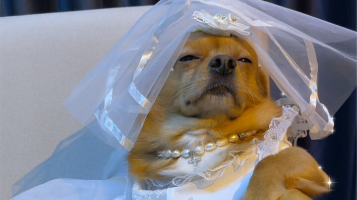 Hani’s doing a remake of “Scream Queens” too～