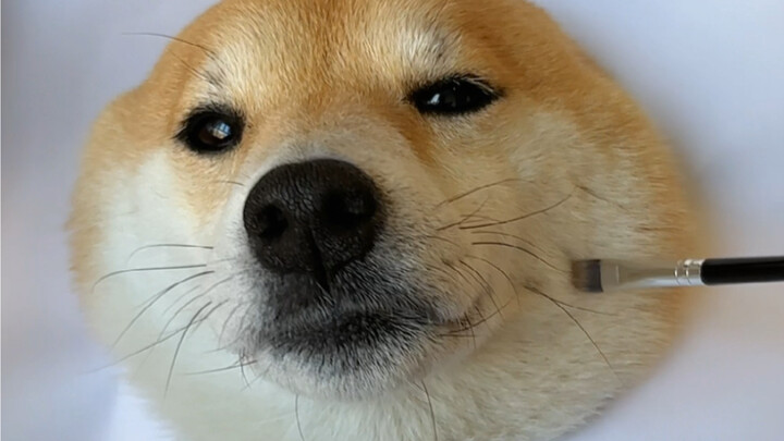 How to Draw a Lifelike Dog Head That’s Seriously Realistic!