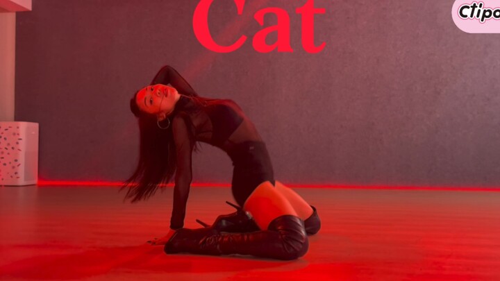 Cat｜导师芊芊🧚🏻猫系女友上线👠#厦门Ctipop #厦门舞蹈室 #kpop #cat