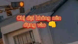 chị đại của 12 tháng sinh