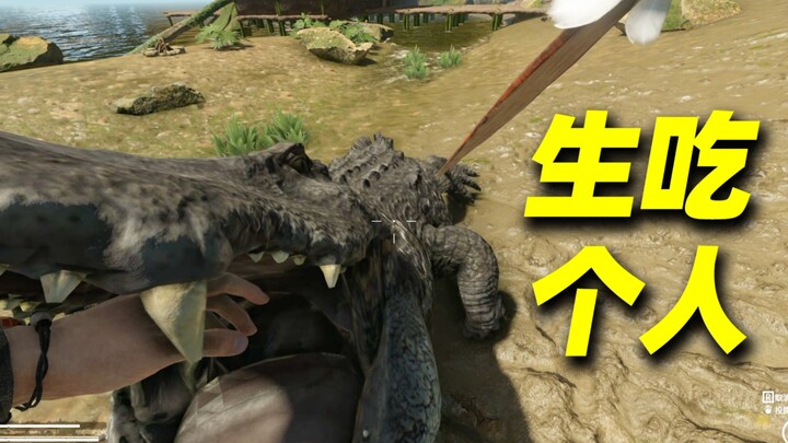 Cá sấu: Ăn sống một người thì tôi đúng là “quá liều”!