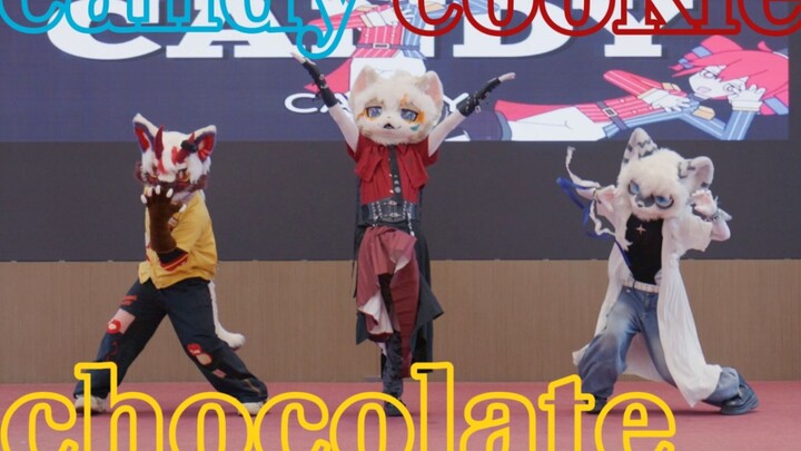 【Đèn lồng mèo】Phần nhảy lại bài hát otaku của CandyCookieChocolate🍭🍪🍫