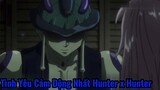 Tình Yêu Cảm Động Nhất Hunter x Hunter