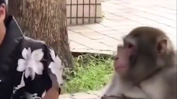 [Top 5 of the King’s Five Kills] Mirror’s ceiling operation: a mirror that can get six kills