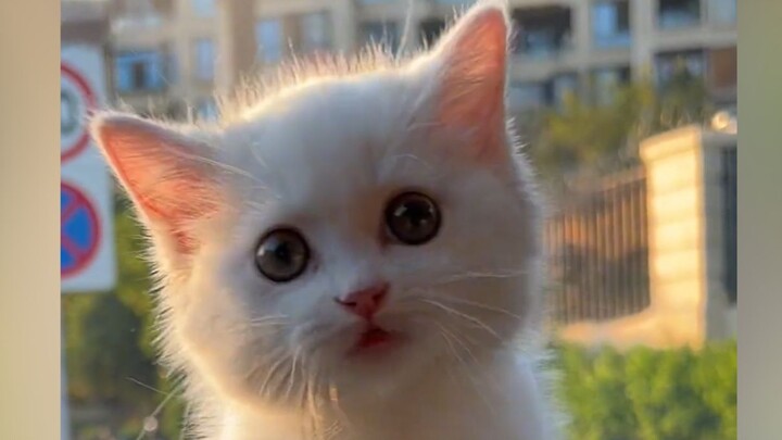 “หัวนุ่มฟู หัวใจน่ารักสุดๆ!”