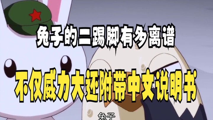 那年那兔那些事：兔子的二踢脚有多离谱，不仅威力大还附带中文说明书，鹰酱都哭了