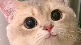 Apakah ini wajahmu saat bertemu orang yang kamu suka?