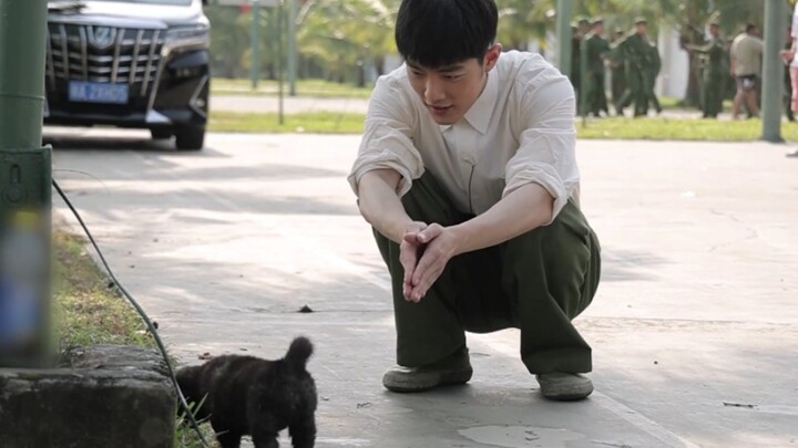[Xiao Zhan] 230615 Dream Sea Video Collection Another clip of Xiao Zhan playing with a dog on the se