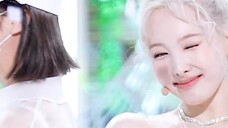 ผมหางม้าดีมาก! เพลงป๊อป 6.25 ของ Lin Nayeon!
