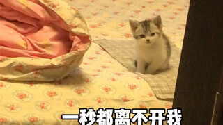 การได้อยู่เคียงข้างคุณจนเติบโตขึ้นจริงๆ แล้วเป็นเรื่องที่น่าภาคภูมิใจมาก～