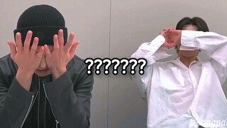 الأخوة البلهاء