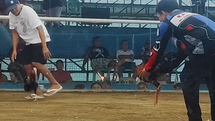 Prh/Shelton Lakas Chamba