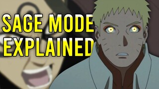 Sage Mode EXPLAINED!