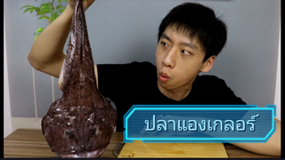 ผมซื้อปลาแองเกลอร์ 1.5กิโลมาผัดซอสแดงหอมเวอร์