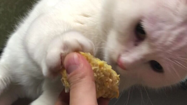 大咪：唯玉米与胡叔叔不可辜负