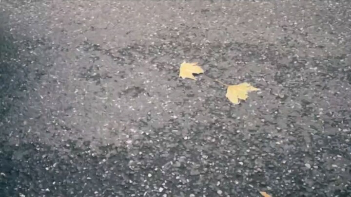 anime Real life