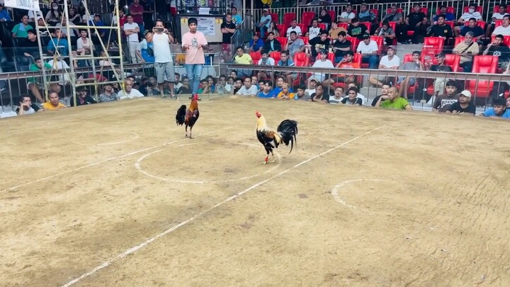 Sweater Grey in Action