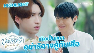 เป็นแมวจะไปสู้กับเสือได้ไง l HIGHLIGHT Love in The Air EP.1