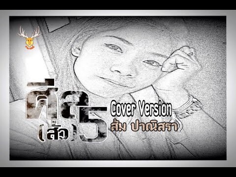 EP.2 ศีล5 ~ ส้ม ปาณิสรา【 Cover Version 】; Origimal : แจ็ค ดูโอ้ ; เขากวางอินดี้