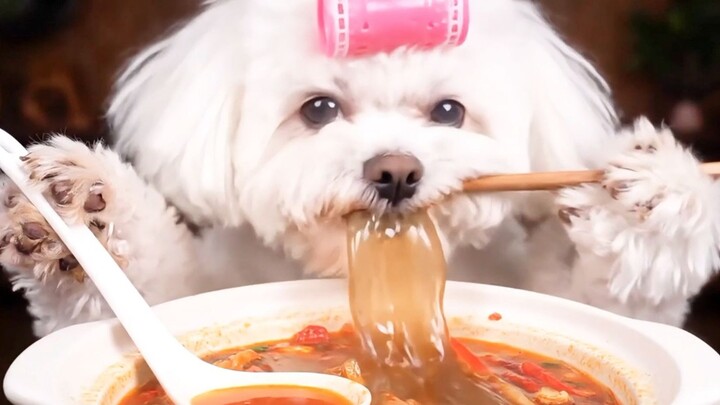 “Bếp AI” – Điện thoại của bạn 🍐 có tính năng dẫn đường không❓❓ Giúp ốc sên 🐌 tìm chỗ ăn ngon. Đi đâu