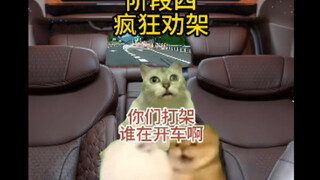 当我坐上闺蜜的车，他们突然开始吵架